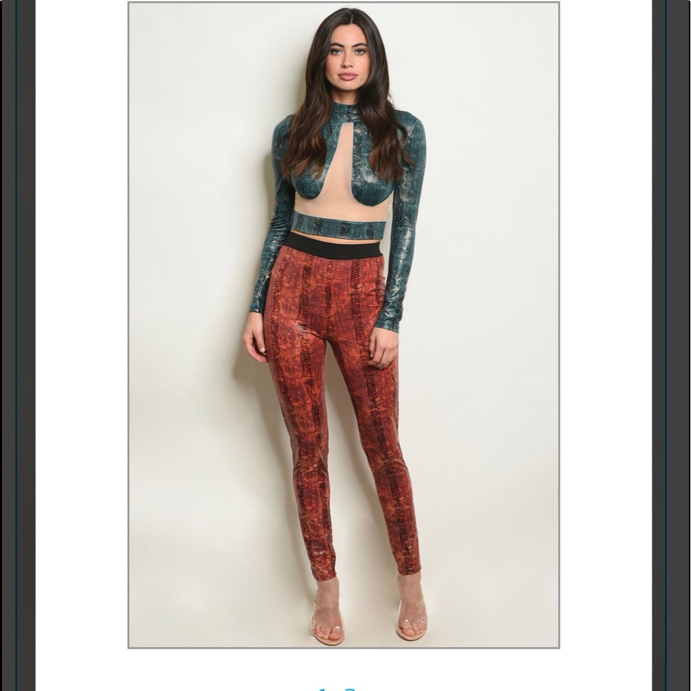 Sexy Bodycon Snake Print Outfit - Picture 1 of 1